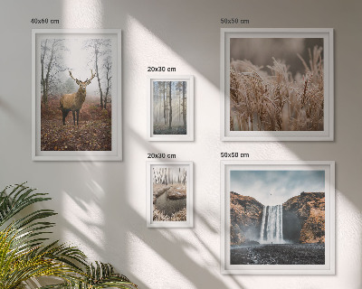 Ensemble de 5 tableaux Paysages fauniques