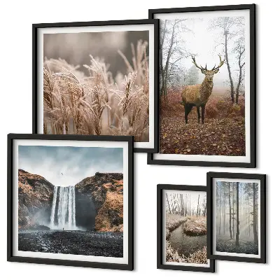 Paysages fauniques ensemble de 5 tableaux