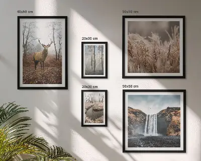 Paysages fauniques ensemble de 5 tableaux