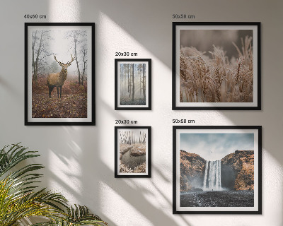 Ensemble de 5 tableaux Paysages fauniques