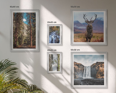 Tableau de décoration murale Paysages cascades nature