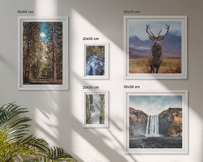 Tableau de décoration murale Paysages cascades nature