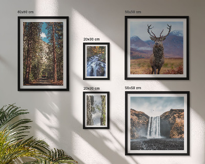Tableau de décoration murale Paysages cascades nature