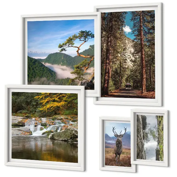 Lot de tableaux encadrés représentant des paysages de montagne et une nature sauvage
