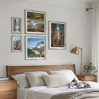 Lot de tableaux encadrés représentant des paysages de montagne et une nature sauvage