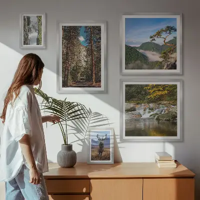 Lot de tableaux encadrés représentant des paysages de montagne et une nature sauvage