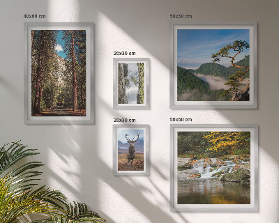 Lot de tableaux encadrés Paysages de montagne et nature sauvage