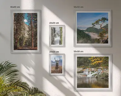 Lot de tableaux encadrés représentant des paysages de montagne et une nature sauvage