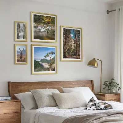 Lot de tableaux encadrés représentant des paysages de montagne et une nature sauvage