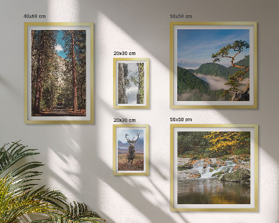 Lot de tableaux encadrés Paysages de montagne et nature sauvage