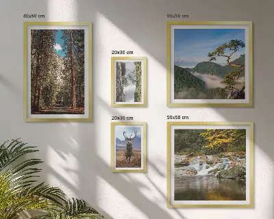 Lot de tableaux encadrés représentant des paysages de montagne et une nature sauvage