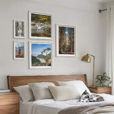 Lot de tableaux encadrés représentant des paysages de montagne et une nature sauvage
