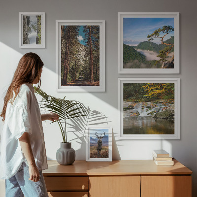 Lot de tableaux encadrés Paysages de montagne et nature sauvage