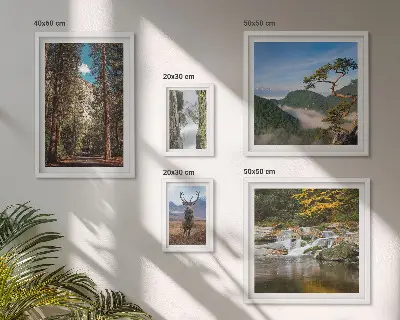 Lot de tableaux encadrés représentant des paysages de montagne et une nature sauvage