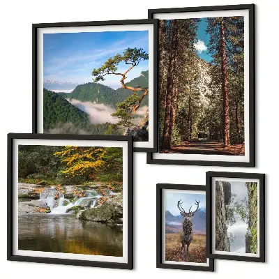 Lot de tableaux encadrés représentant des paysages de montagne et une nature sauvage
