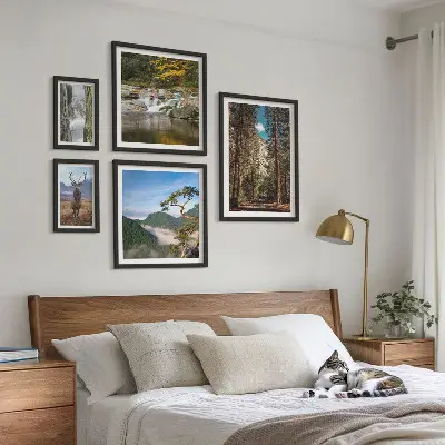 Lot de tableaux encadrés représentant des paysages de montagne et une nature sauvage