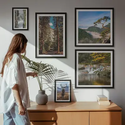 Lot de tableaux encadrés représentant des paysages de montagne et une nature sauvage