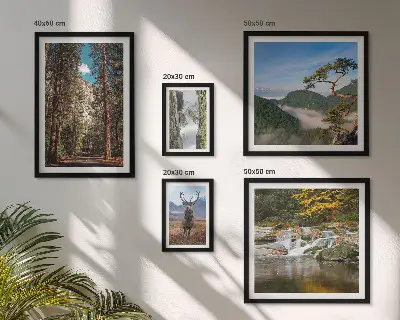 Lot de tableaux encadrés représentant des paysages de montagne et une nature sauvage