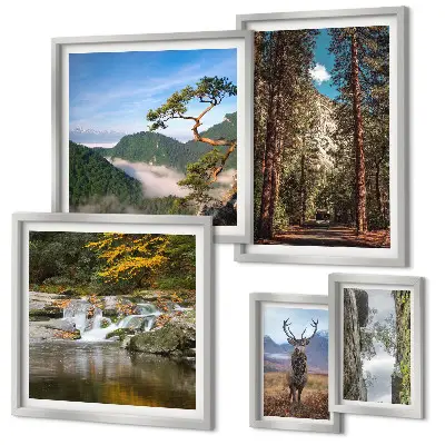 Lot de tableaux encadrés représentant des paysages de montagne et une nature sauvage