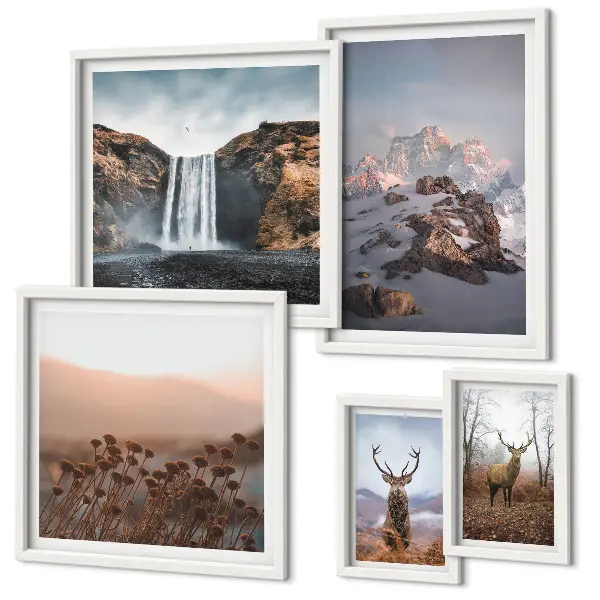Lot de tableaux encadrés représentant des paysages de montagne et des animaux sauvages