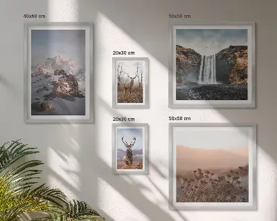 Lot de tableaux encadrés représentant des paysages de montagne et des animaux sauvages