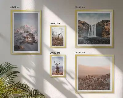 Lot de tableaux encadrés représentant des paysages de montagne et des animaux sauvages