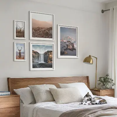Lot de tableaux encadrés représentant des paysages de montagne et des animaux sauvages