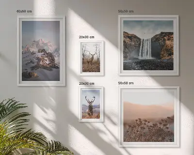 Lot de tableaux encadrés représentant des paysages de montagne et des animaux sauvages
