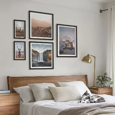 Lot de tableaux encadrés représentant des paysages de montagne et des animaux sauvages