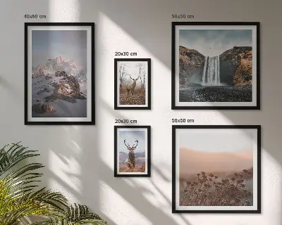 Lot de tableaux encadrés représentant des paysages de montagne et des animaux sauvages