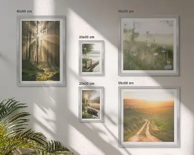 Lot de tableaux encadrés motifs de paysages forestiers avec soleil et eau