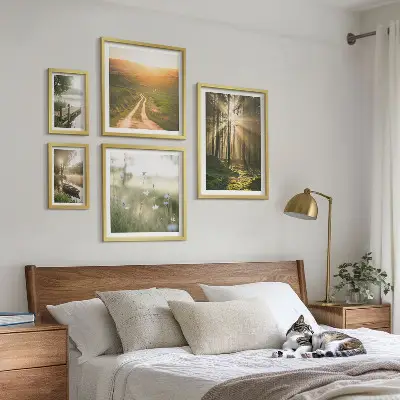 Lot de tableaux encadrés motifs de paysages forestiers avec soleil et eau