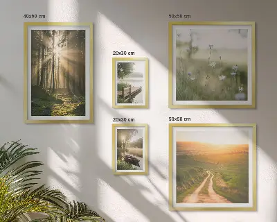 Lot de tableaux encadrés motifs de paysages forestiers avec soleil et eau
