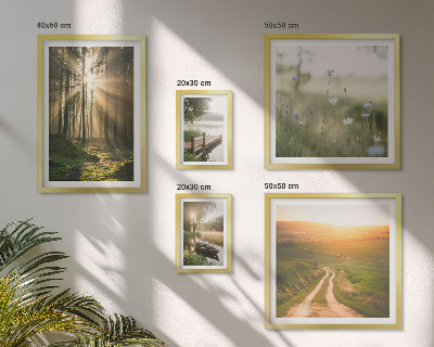 Lot de tableaux encadrés Paysages forestiers soleil eau