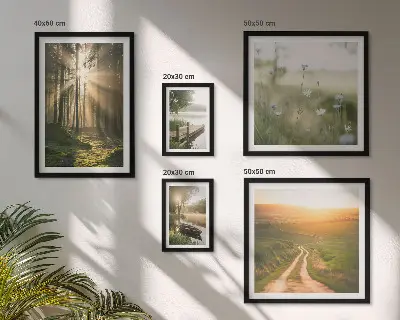 Lot de tableaux encadrés motifs de paysages forestiers avec soleil et eau