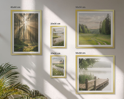 Tableau de décoration murale Paysages forestiers soleil eau