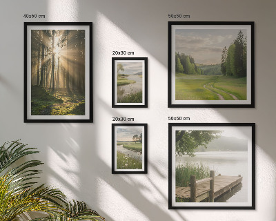 Tableau de décoration murale Paysages forestiers soleil eau