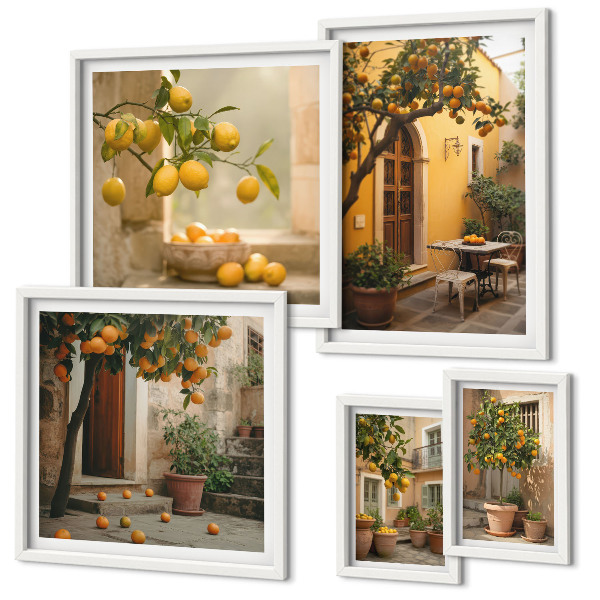 Ensemble de 5 tableaux Agrumes dans le jardin