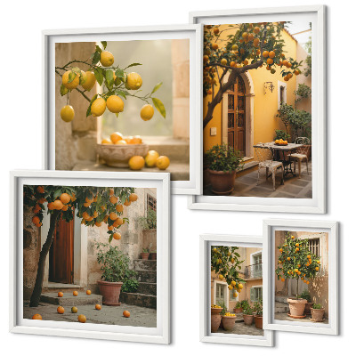 Ensemble de 5 tableaux Agrumes dans le jardin