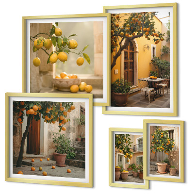 Ensemble de 5 tableaux Agrumes dans le jardin
