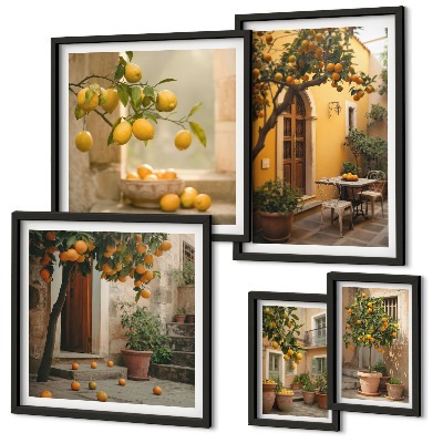 Ensemble de 5 tableaux Agrumes dans le jardin
