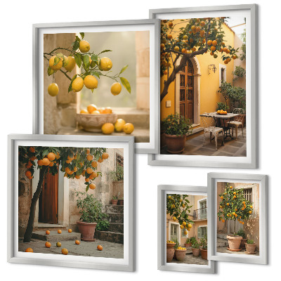 Ensemble de 5 tableaux Agrumes dans le jardin