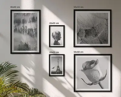 Lot de tableaux encadrés représentant une ville dans la nature en noir et blanc