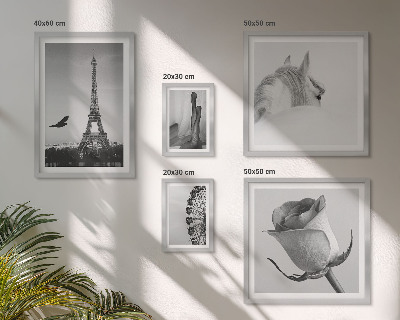 Tableau de décoration murale Images élégantes en noir et blanc