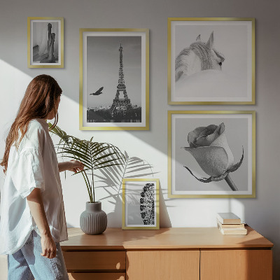 Tableau de décoration murale Images élégantes en noir et blanc