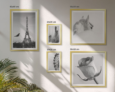 Tableau de décoration murale Images élégantes en noir et blanc