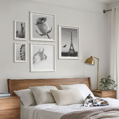 Tableau de décoration murale Images élégantes en noir et blanc