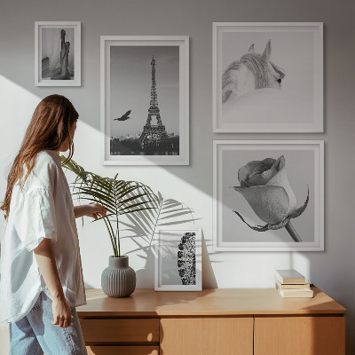 Tableau de décoration murale Images élégantes en noir et blanc