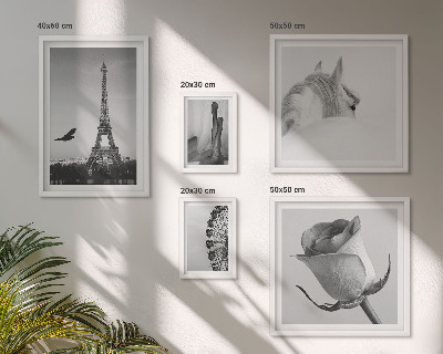 Tableau de décoration murale Images élégantes en noir et blanc