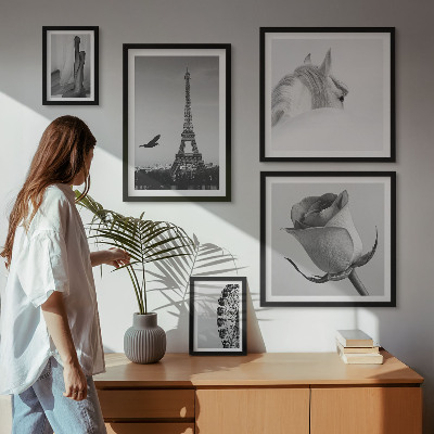 Tableau de décoration murale Images élégantes en noir et blanc